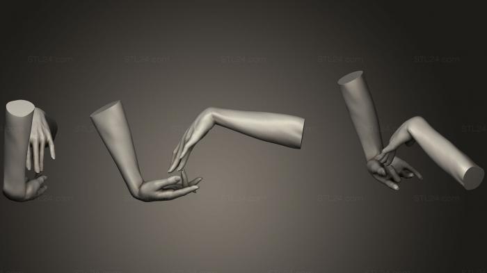 Анатомия скелеты и черепа (Женские Руки 20, ANTM_0489) 3D модель для ЧПУ станка